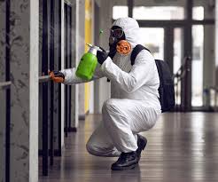 Biohazard Mold Removal in Johns Creek, GA